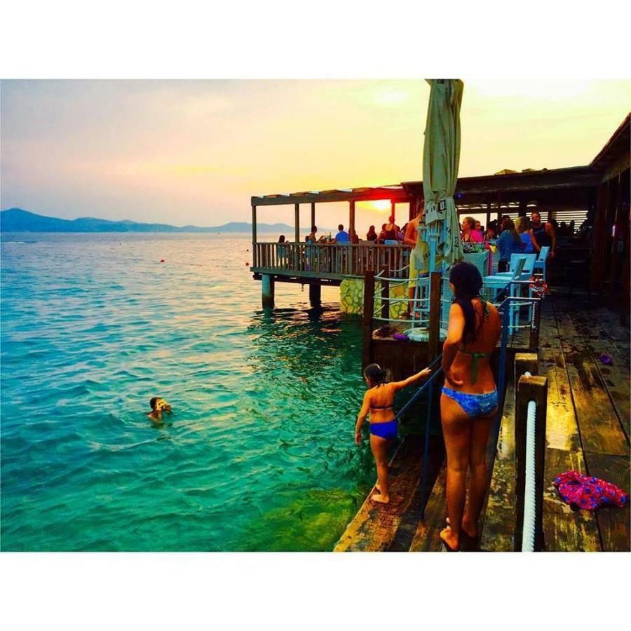 The Mellow Monkey * Zadar